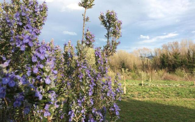 Agriturismo Il Pettirosso