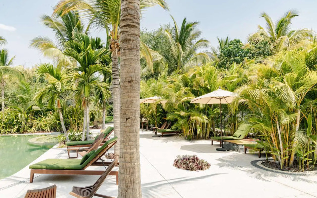 Soul Spring Sanctuary Cuernavaca