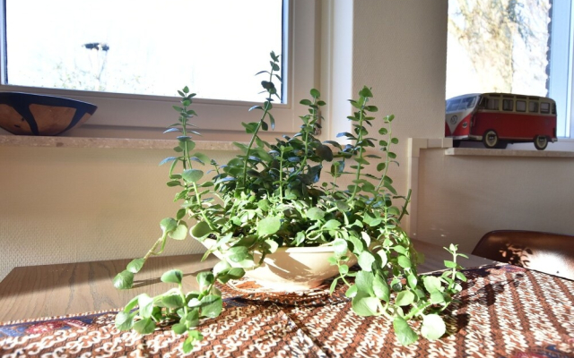 Rural Holiday Home With Terrace