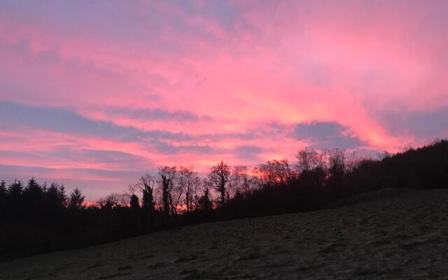 Forest View - Castlewellan