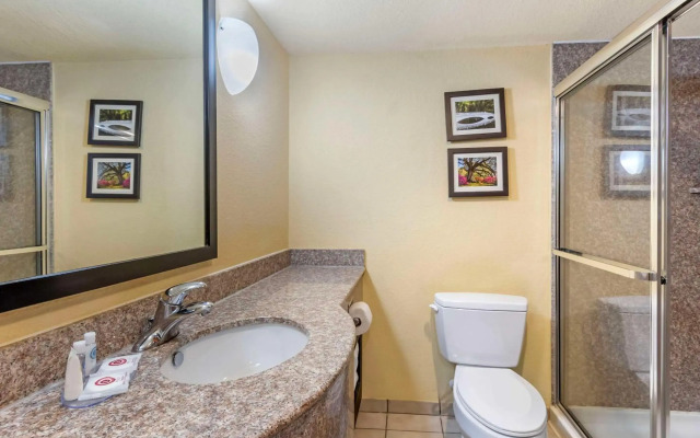 Comfort Inn & Suites Airport Convention Center