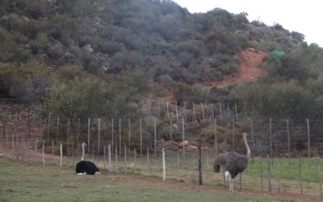 Old Mill Country Lodge & Restaurant