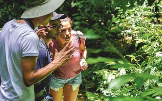 Resort Pù luông Boutique Garden