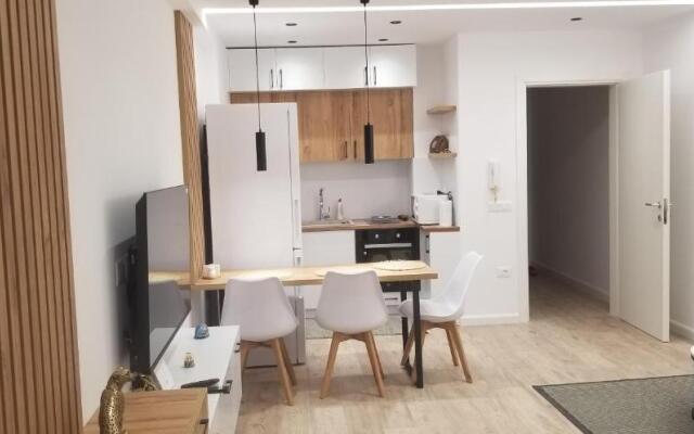 2A near Blloku area Apartment