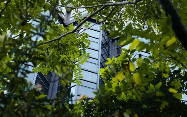 Primacy Apart Hotel