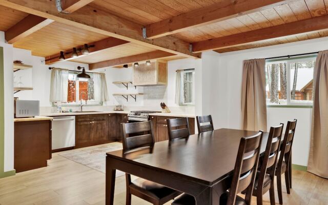 Midnight Pines #2424