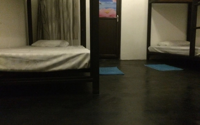 Nature Rex - Hostel