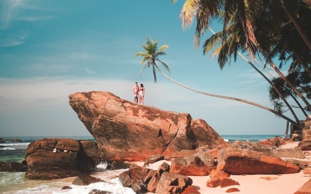 Mango Tree House
