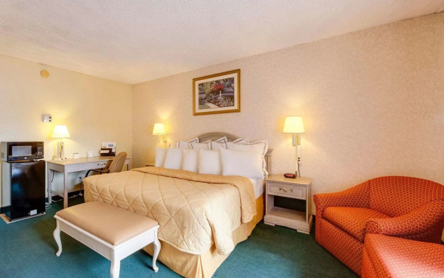 Hotel Elev8 Flagstaff, Trademark Collection by Wyndham