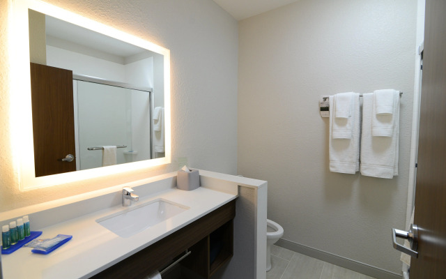 Holiday Inn Express & Suites Chicago North Shore - Niles by IHG
