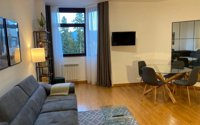 Sana Ski apartment 620 in Flora, Borovets