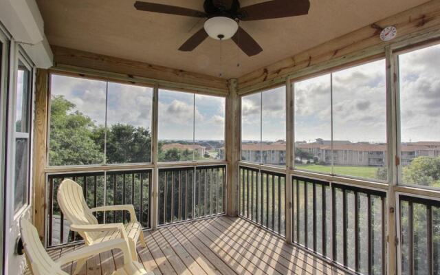 4040 - Paws at the Beach