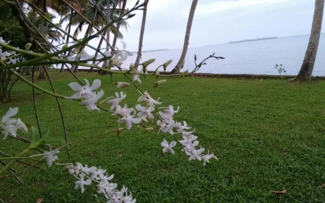 Vembanad House Boutique Back Water Homestay