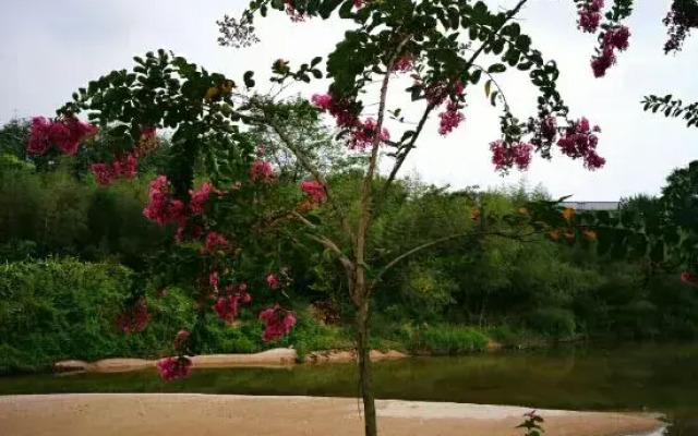 Chaji Shui'an Home Inn