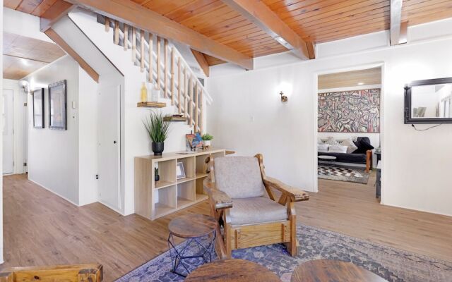 THE Bear Bauhaus #2106