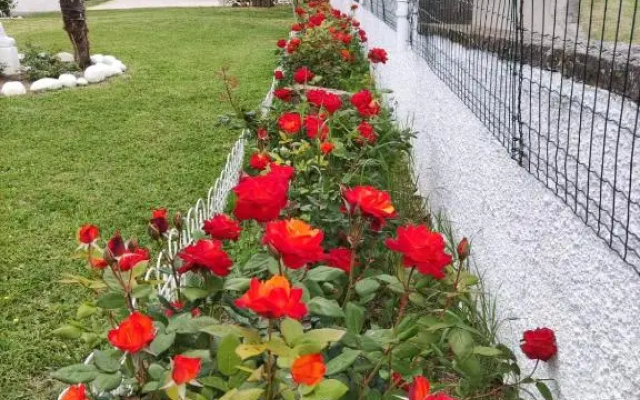 "CARA PACE" in collina per famiglie