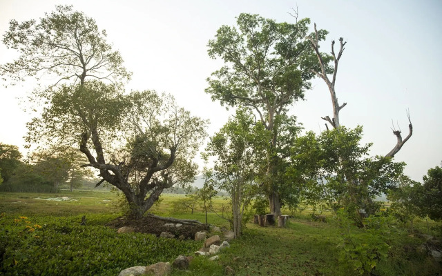 Grand Tamarind Lake