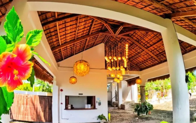 Divers Lodge Plumeria