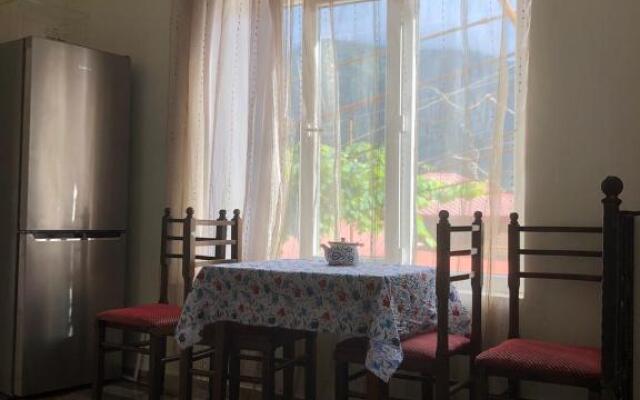 Guest house Lile