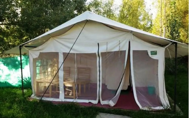 Saser Camp Nubra
