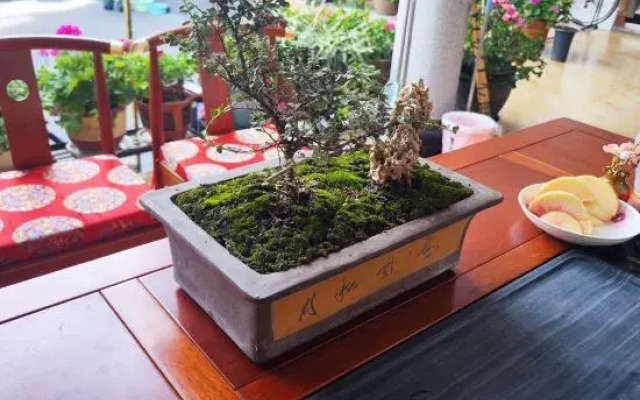 Anqiliang Residence