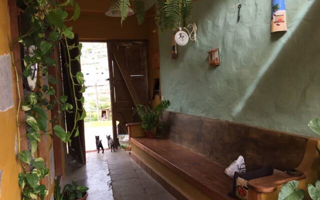 Traditional Canarian Country House B&B