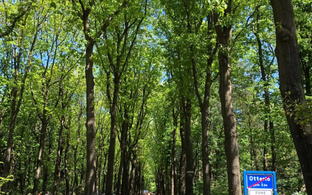 Vakantiehuisje Specht