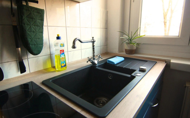 Whg./flat am Großen Garten in Dresden