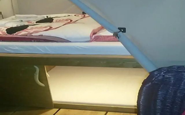 Schaeferwagenhotel-Campsite