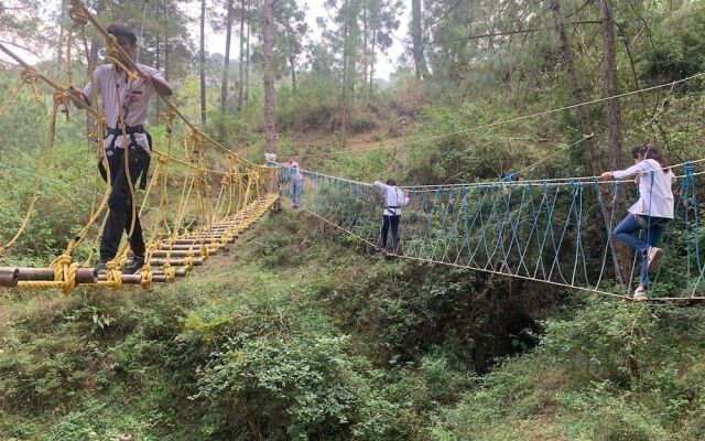 Pine Trails Jungle Camp
