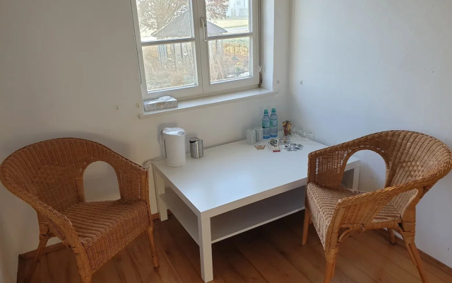 La Alqueria de las Alpacas - Alpakas am Ardey