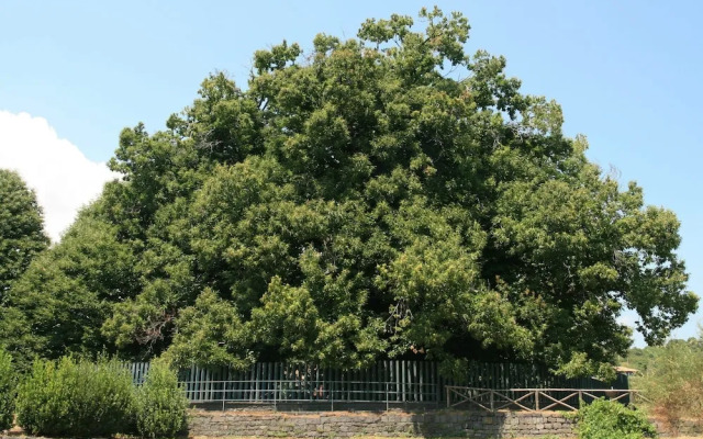 Room in Lodge - Stanza in Affitto Giarre