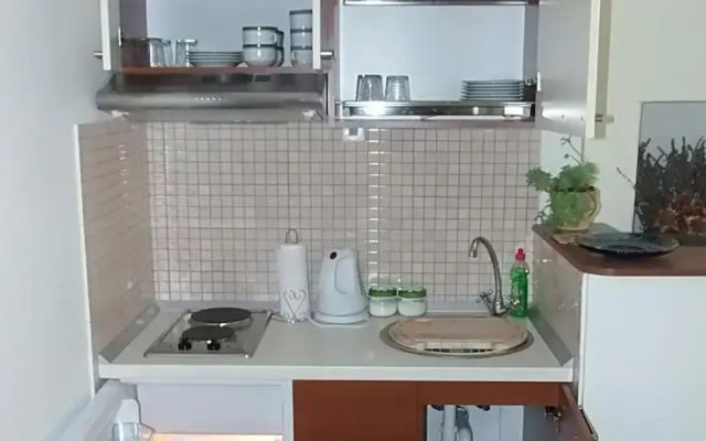 Apartments Dryad