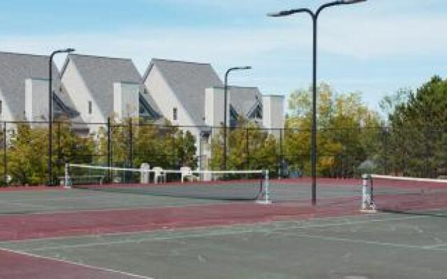 Beautiful Mountain Studio in The Blue Mountains