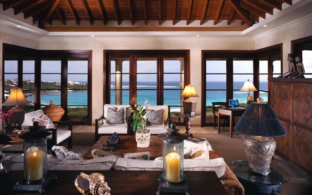Anguilla's Bird of Paradise