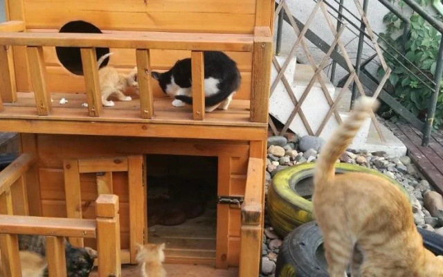 Luoyang Anximen Young Hostel