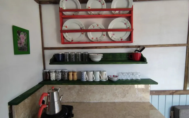 Torrhebia Dag Evi