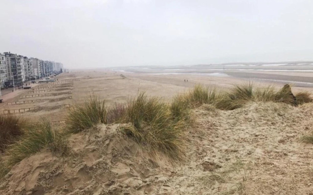 Apartment in Belgium 100m From the Sea