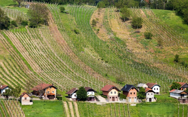 Wellness Vineyard Cottage Cuk