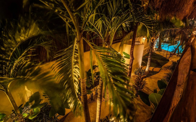 Hotel Boutique TerraNova