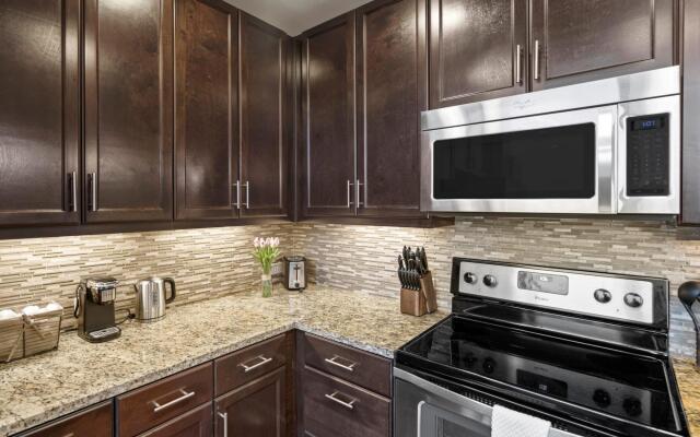 Austin Modern 1BD 1BA Apartment