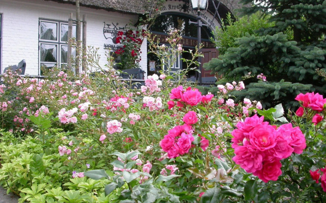 Hotel Historischer Krug