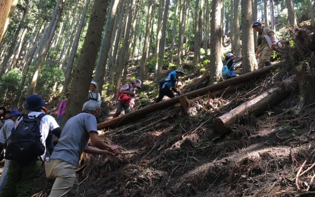 Guesthouse Mori No Eki