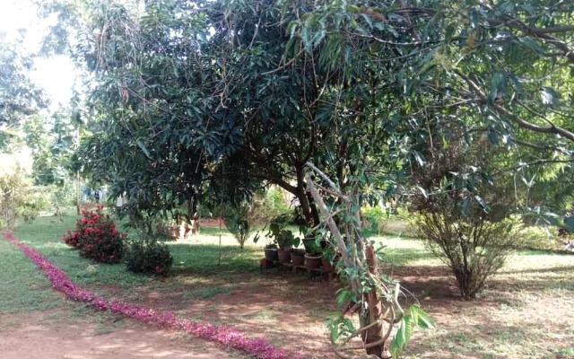 Yoho Mango Tree Home Stay & Hostel