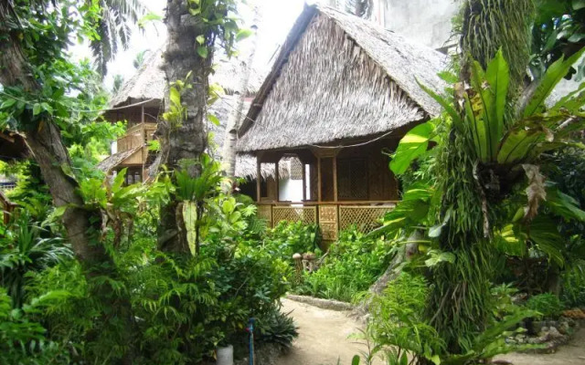 Melinda's Garden