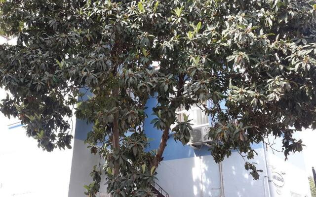 Mavi Konak Guest House