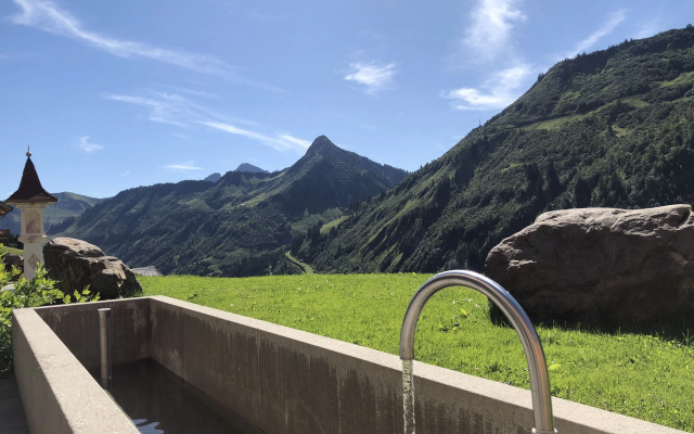 Damülser Hof - Wellnesshotel