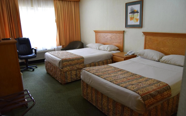 Hotel Sicomoro