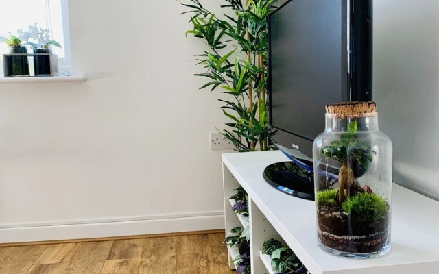 SA Today Apartments Guildford