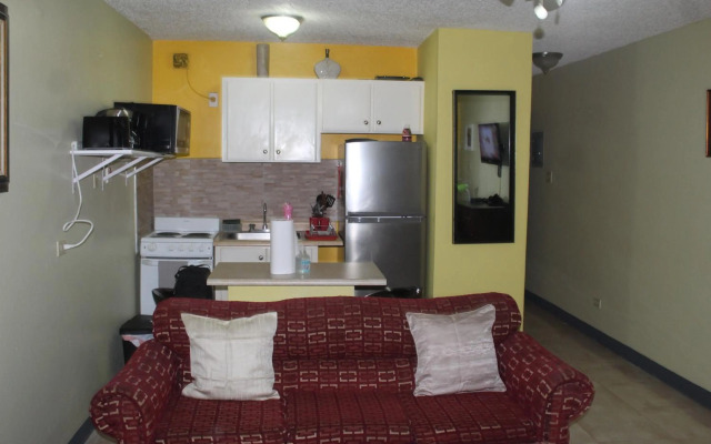 Comfy, Central & Elegant Studio New Kingston
